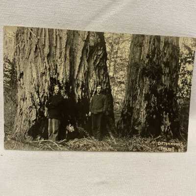 'Cottonwoods Terrace BC'