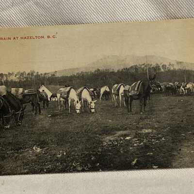'Pack Train at Hazelton, B.C.'