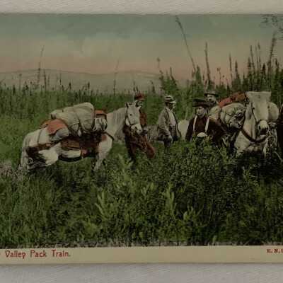 ‘Bulkley Valley Pack Train’