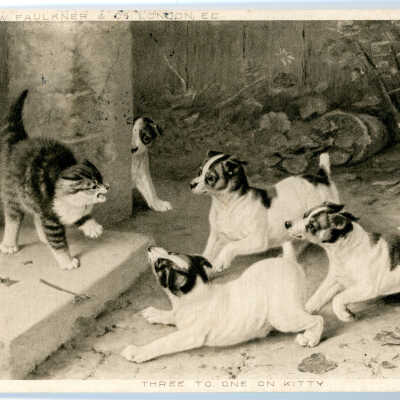Scared Cat with Dogs, 1904
