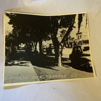 'Lakelse Avenue, Terrace B.C.'