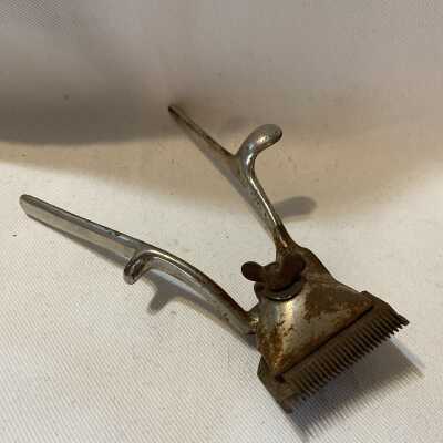Barber Shears