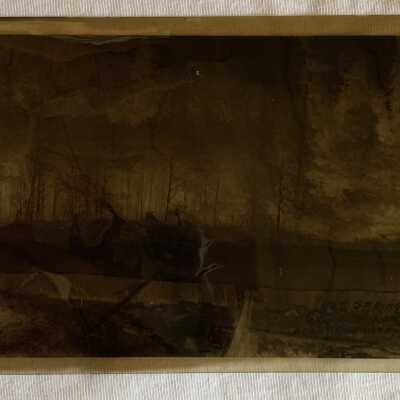 Lakelse Lake Hotsprings, Negative