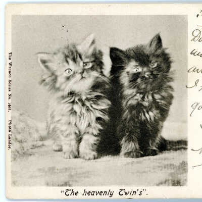 'The Heavenly Twin's' 1903