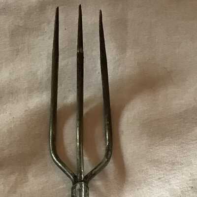 Cooking Fork