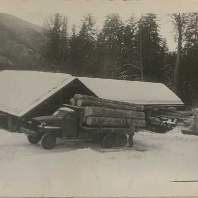 logging trucks