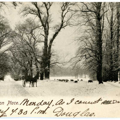 'Beckhampton Place, the Park' 1903