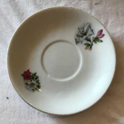 Saucer