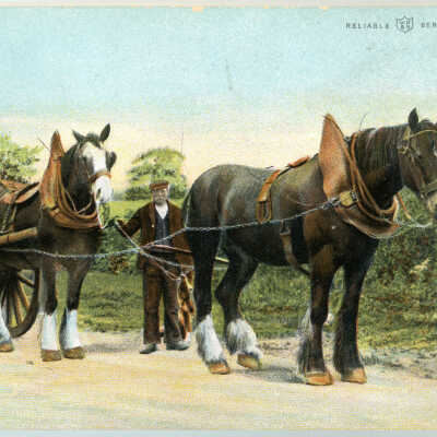 'Carting' 1904