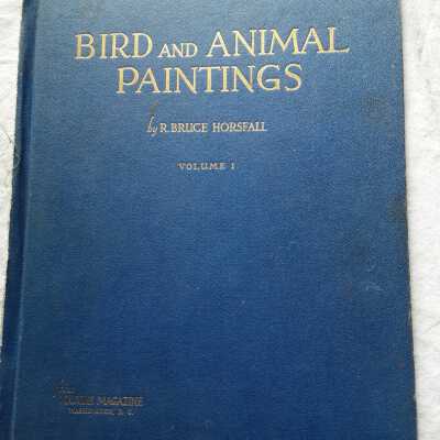 'Bird and Animal Painting Vol 1'