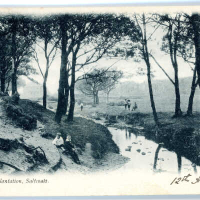 'Holm Plantation, Saltcoats' 1903