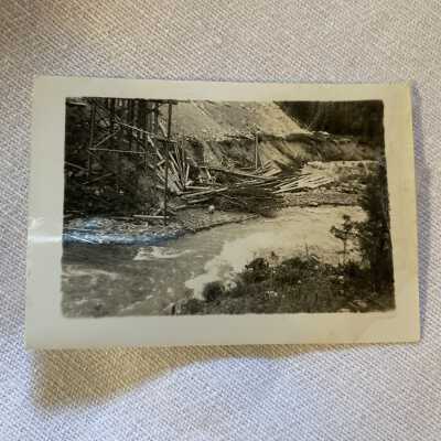 River Side and Logs