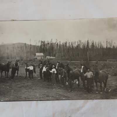 'George Little Horse stock'