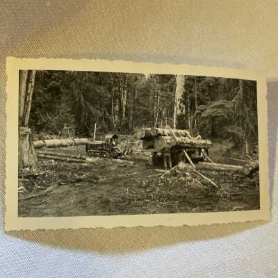 Loading Logs on Truck