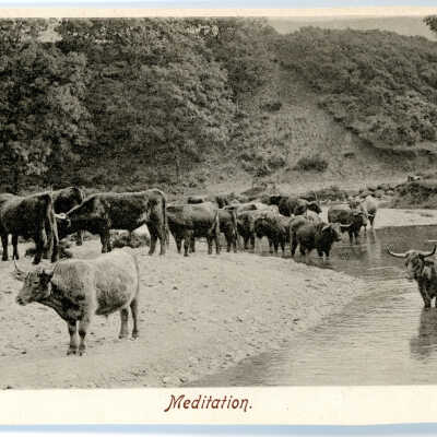 'Meditation' 1904