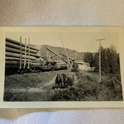 Horses, and Lumber on Rail Cars