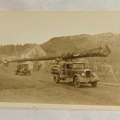 ‘110ft Cedar Pole’
