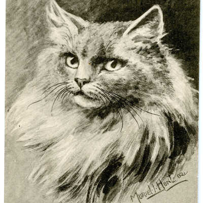 'Valentines Series' 1904