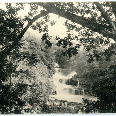 Forest with Waterfall, 1904