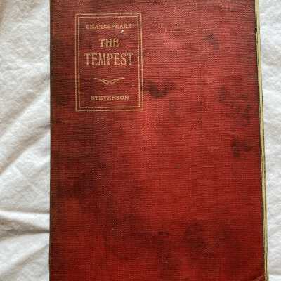 'The Tempest'