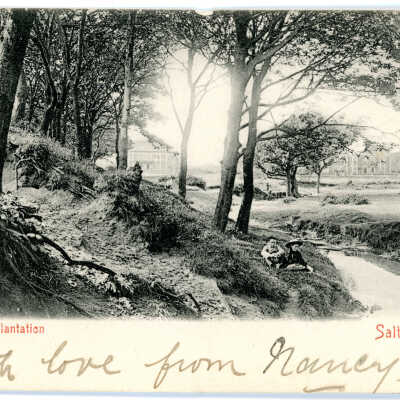 'Holm Plantation, Saltcoats' 1903