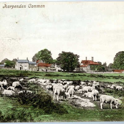 'Karpenden Common' 1904