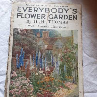 'Everybody's Flower Garden' 1916