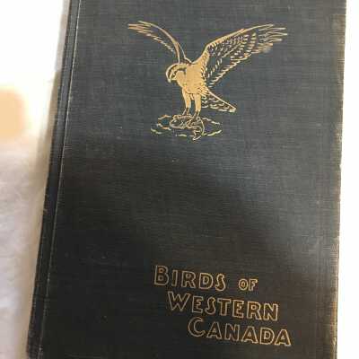 'Birds of Western Canada'