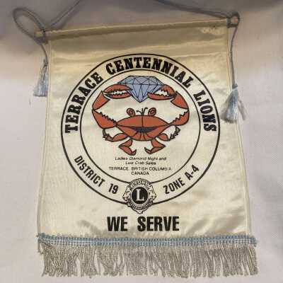 'Terrace Centennial Lions' Pennant