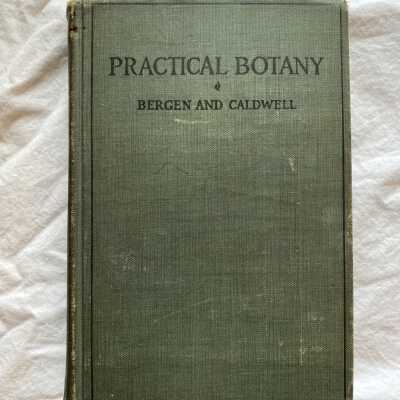 'Practical Botany'
