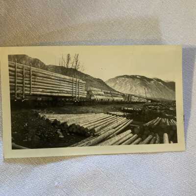 Logs on Rail Cars