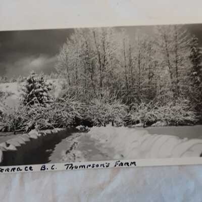 'Thompson's Farm'