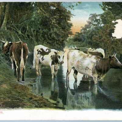 'By Cooling Streams' 1903