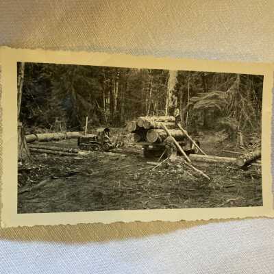 Loading Logs on a Truck