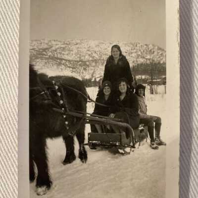 Winter Sleigh