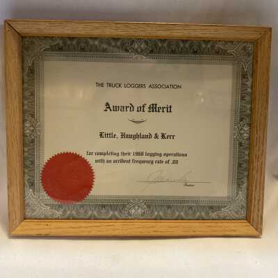 'Award of Merit'