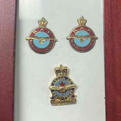 Framed Metallic Stickers and Pin