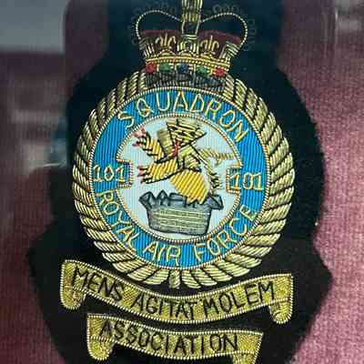 101st RAF Squadron Association Insignia