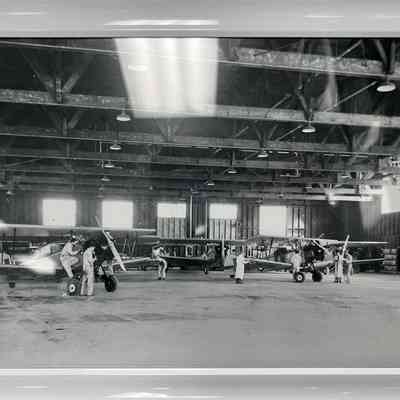 No.7 Hangar Fleet Fawns