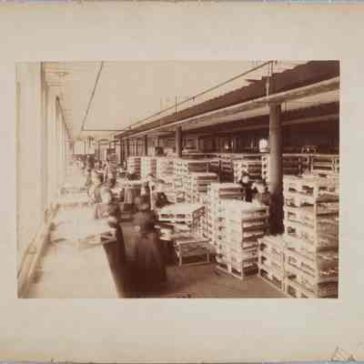Photograph - Edison Lamp Co. Factory 1