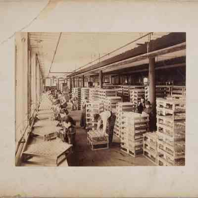 Photograph - Edison Lamp Co. Factory 2