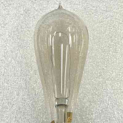 Edison Incandescent Lamp