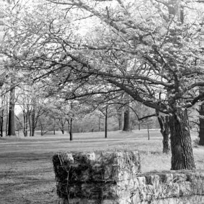 02 The Oaks Entry Copy