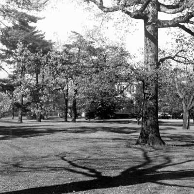 03 The Oaks Entry Copy