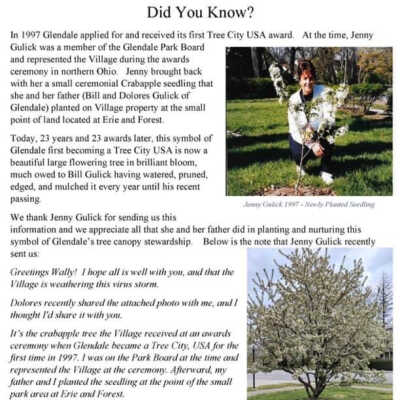 Tree City Award