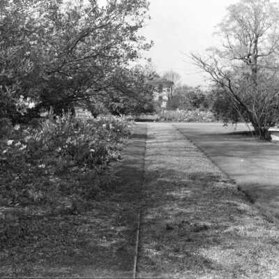 22 The Oaks Grounds Copy