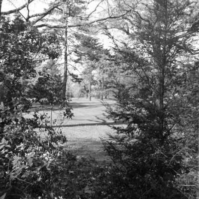 23 The Oaks Grounds