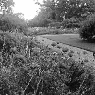 25 The Oaks Grounds025