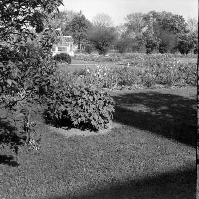 27 The Oaks Grounds027