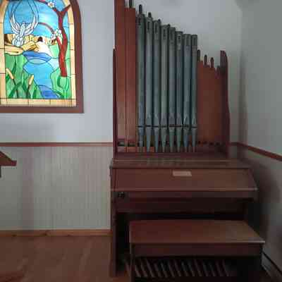 Organ